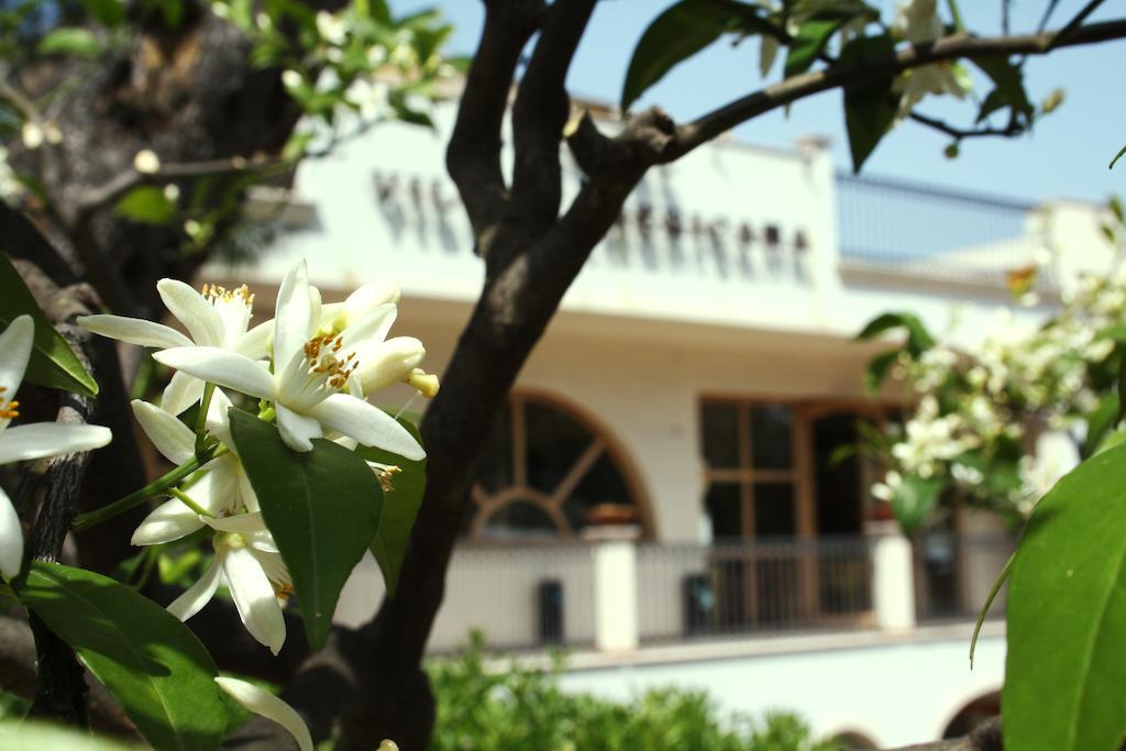 Park Hotel Villa Americana Rodi Garganico Esterno foto